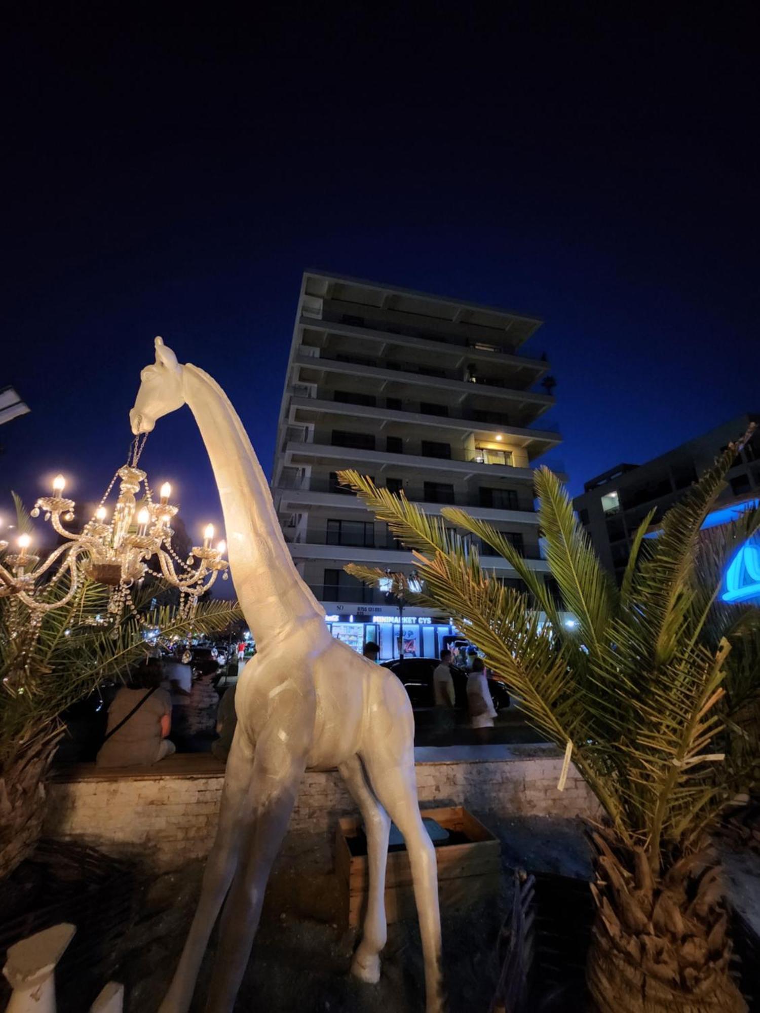 Seaside Amalia Apartament Năvodari Zewnętrze zdjęcie